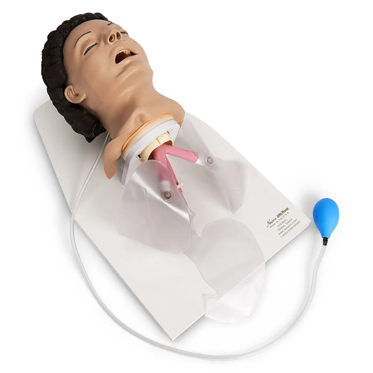 Adult Airway Management Trainer With Stand - First Aid Market