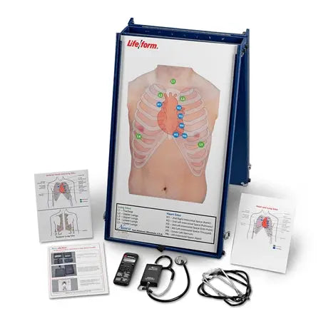 Auscultation Practice Board - First Aid Market