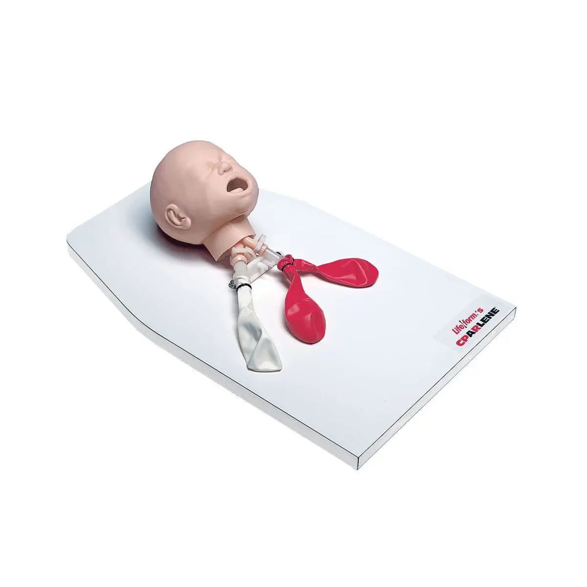 Infant / Baby Airway Management Trainer With Stand - First Aid Market