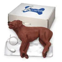 Casper The CPR Dog - 5000 - First Aid Market