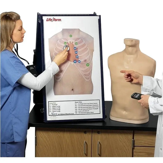 Complete Auscultation Training Station - First Aid Market