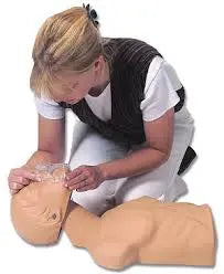 Economy Adult Sani-Manikin - First Aid Market