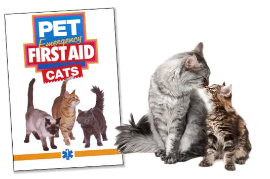 First Aid DVD for Cats - First Aid Market