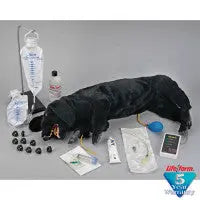 Life/Form Advanced Sanitary CPR Dog - LF01155U - First Aid Market