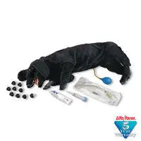 Life/Form Basic Sanitary CPR Dog - LF01156U - First Aid Market