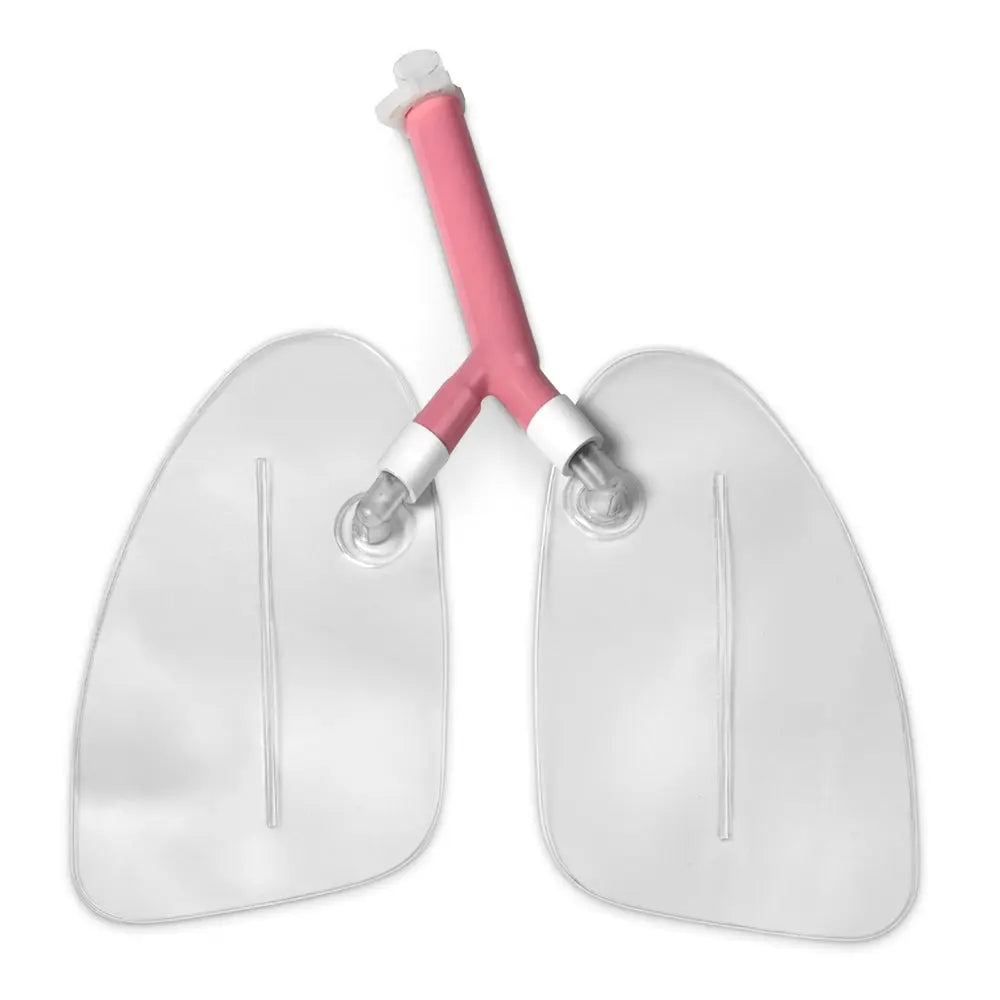 Replacement Lungs For Airway Management Manikins - First Aid Market