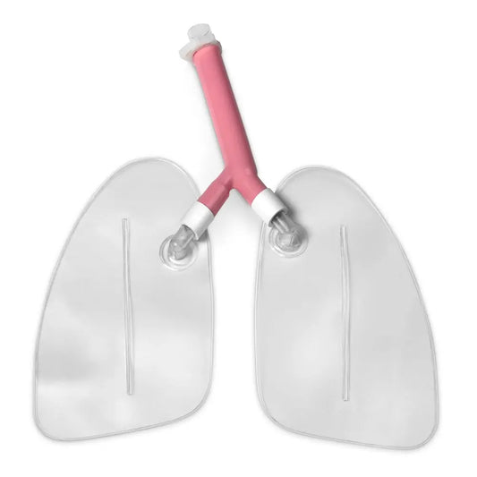 Replacement Lungs For Airway Management Manikins - First Aid Market