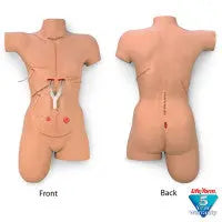 "Surgical Sally" Bandaging Simulator - LF00929U - First Aid Market